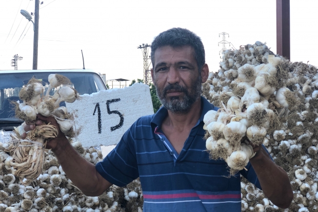 Sarımsakta üretim arttı fiyat düştü