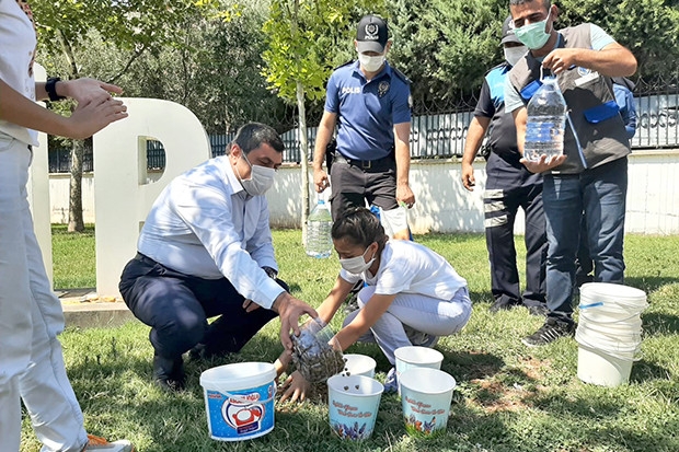 Sokak hayvanları için seferber oldular