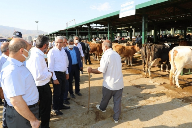 Güder, canlı hayvan pazarını ziyaret etti