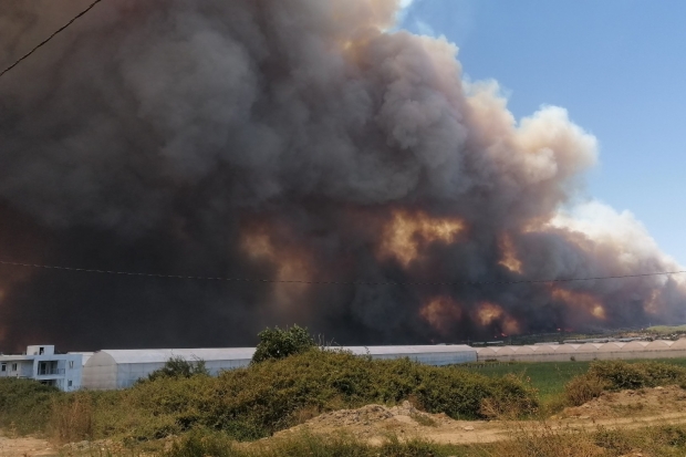 AFAD açıkladı, 5 ilde çıkan orman yangınlarına müdahale sürüyor