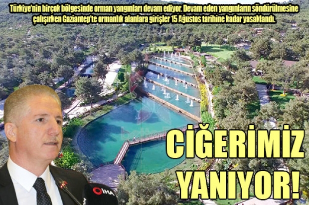 CİĞERİMİZ YANIYOR!