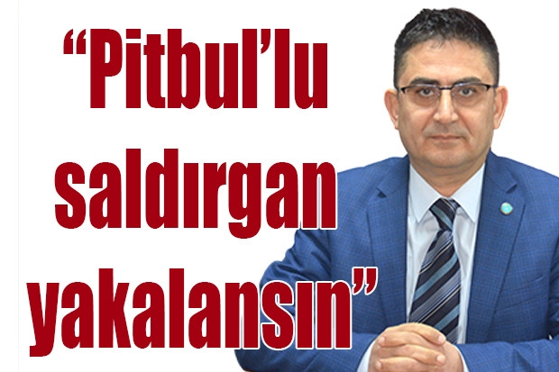 “Pitbul’lu saldırgan yakalansın”