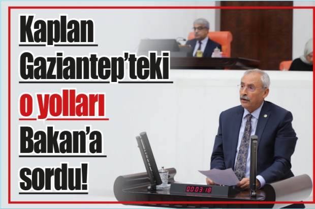 Kaplan Gaziantep'teki o yolları Bakan'a sordu!