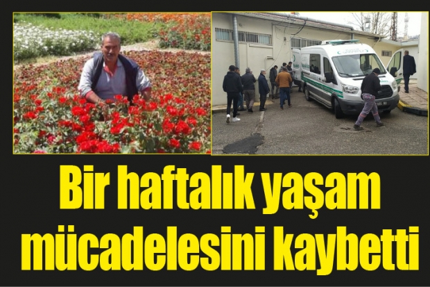 Bir haftalık yaşam mücadelesini kaybetti