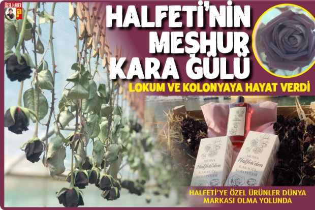 Halfeti'nin meşhur kara gülü  lokum ve kolonyaya hayat verdi