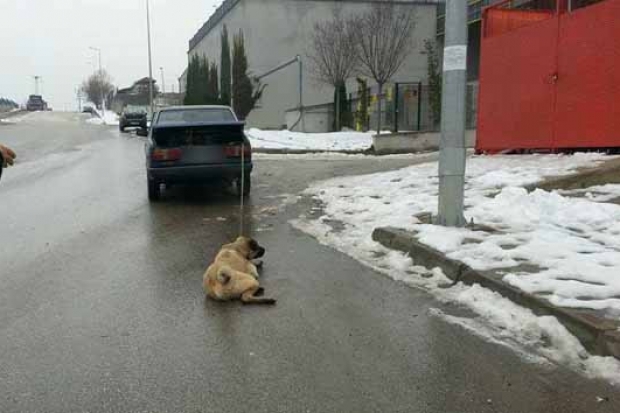 Otomobilinin arkasına bağladığı köpeğini sürükledi