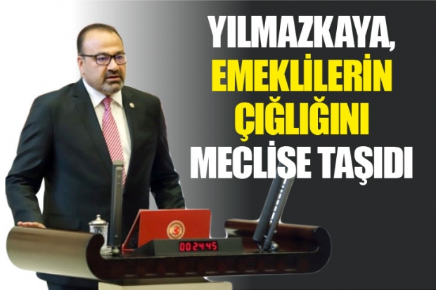 YILMAZKAYA, EMEKLİLERİN ÇIĞLIĞINI MECLİSE TAŞIDI