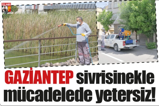 GAZİANTEP sivrisinekle  mücadelede yetersiz!