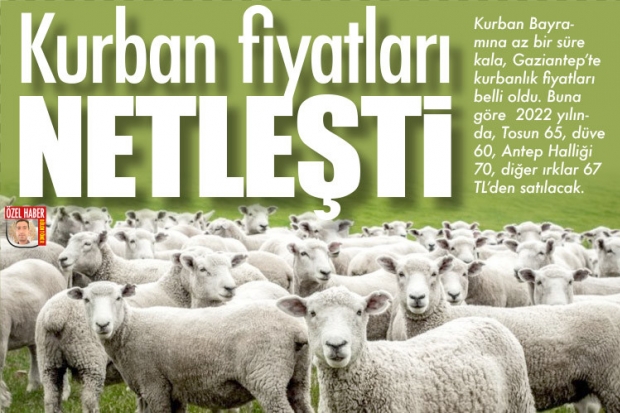 Kurban fiyatları netleşti