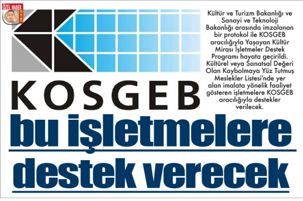 KOSGEB bu işletmelere  destek verecek