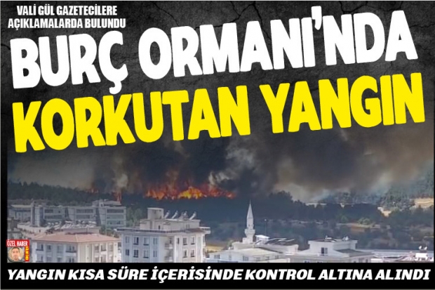 Burç Ormanı'nda korkutan yangın