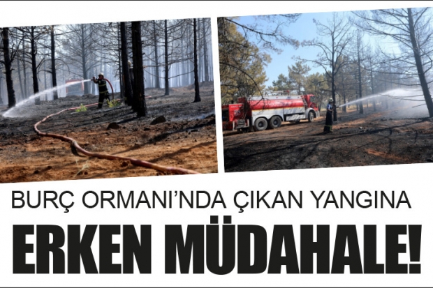 Burç ormanında çıkan yangına erken müdahale