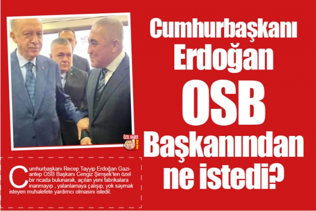Cumhurbaşkanı Erdoğan OSB Başkanından ne istedi?
