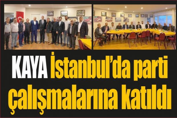 KAYA İstanbul'da parti çalışmalarına katıldı