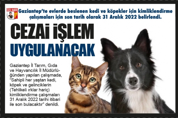 CEZAİ İŞLEM UYGULANACAK