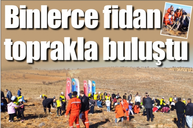 Binlerce fidan toprakla buluştu