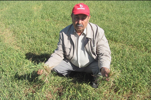 Araban Ovasını kuraklık vurdu