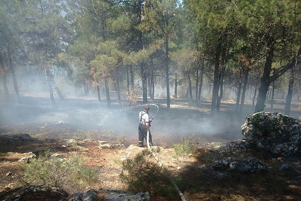 Gaziantep Dülük Baba Ormanı'nda yangın