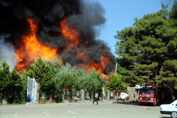 Gaziantep’te ormanlık alandaki restoranda korkutan yangın