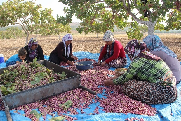 Operasyonların gölgesinde ekmek mücadelesi