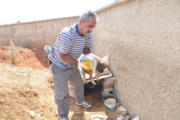 Yavru köpek, hayvan hastanesine kaldırıldı