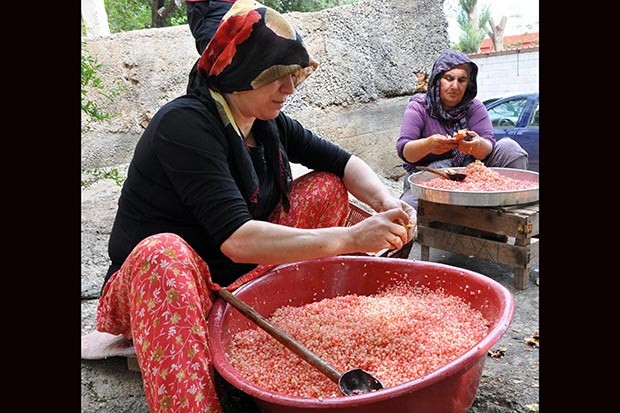 Gaziantep'te narın 'ekşi' yolculuğu