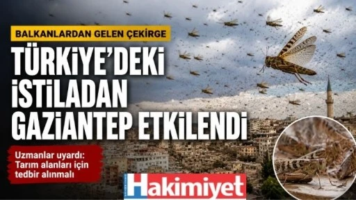 Türkiyedeki istiladan Gaziantep etkilendi